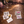 Afterparty Temporary Tattoo Set (6-Pack)